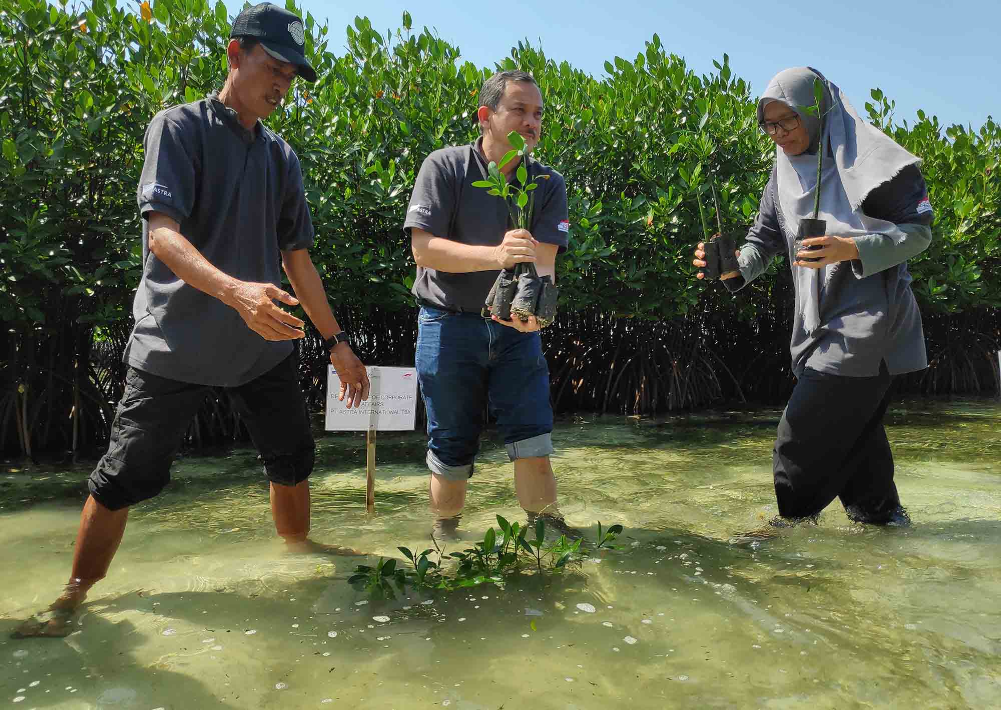 The Excitement of Pramuka Island Astra Green Village Festival Commemorating World Environment Day